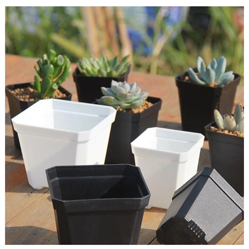 pots fleurs plastique noir blanc bleu violet 7cm 10cm jardinage outils culture plantes minimalistes