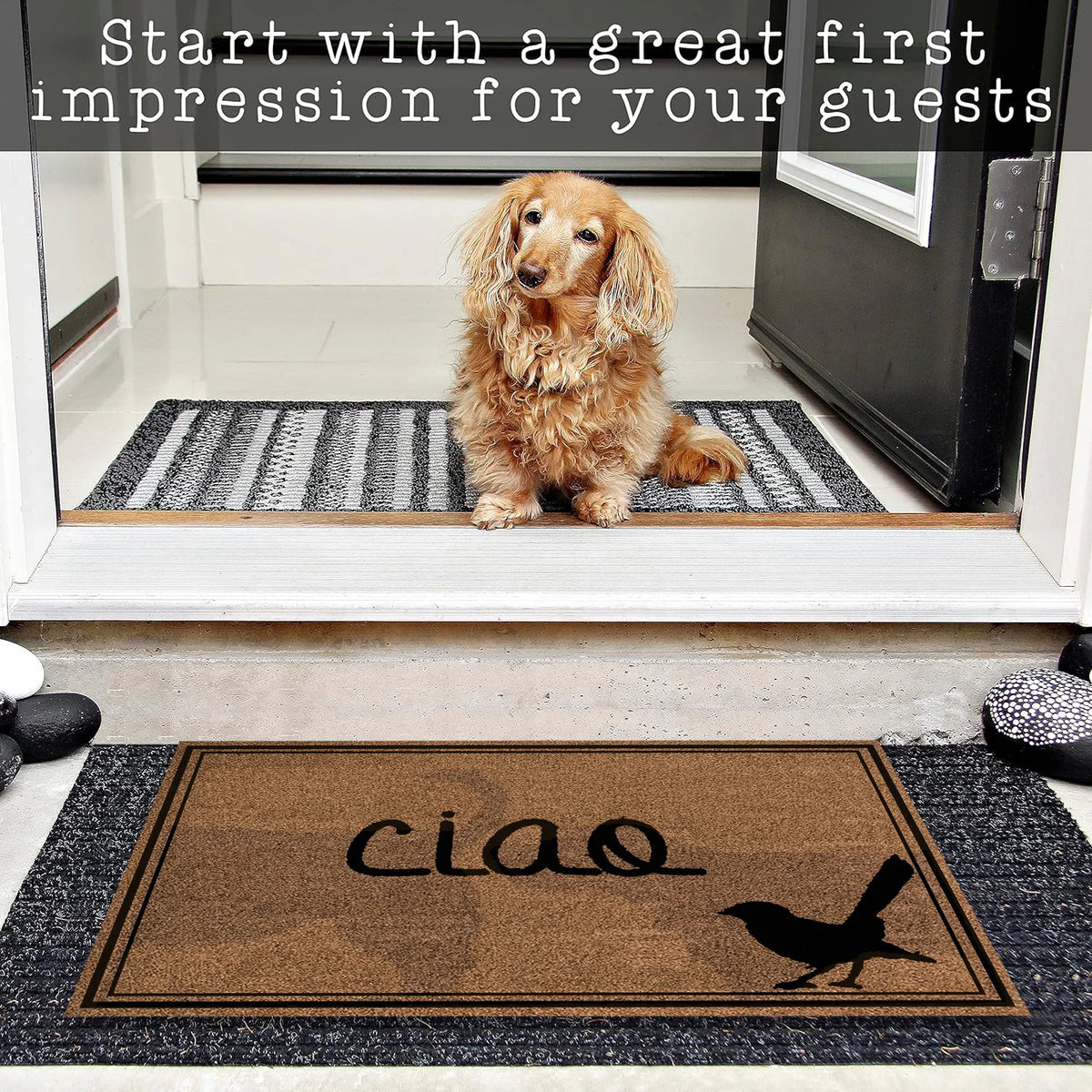 tapis d'entrée marron ciao oiseau antidérapant résistant extérieur moderne classique adhésif