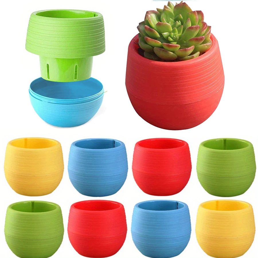 cache pots succulentes couleurs mixtes rayures horizontales moderne minimaliste plastique variété tons vibrant