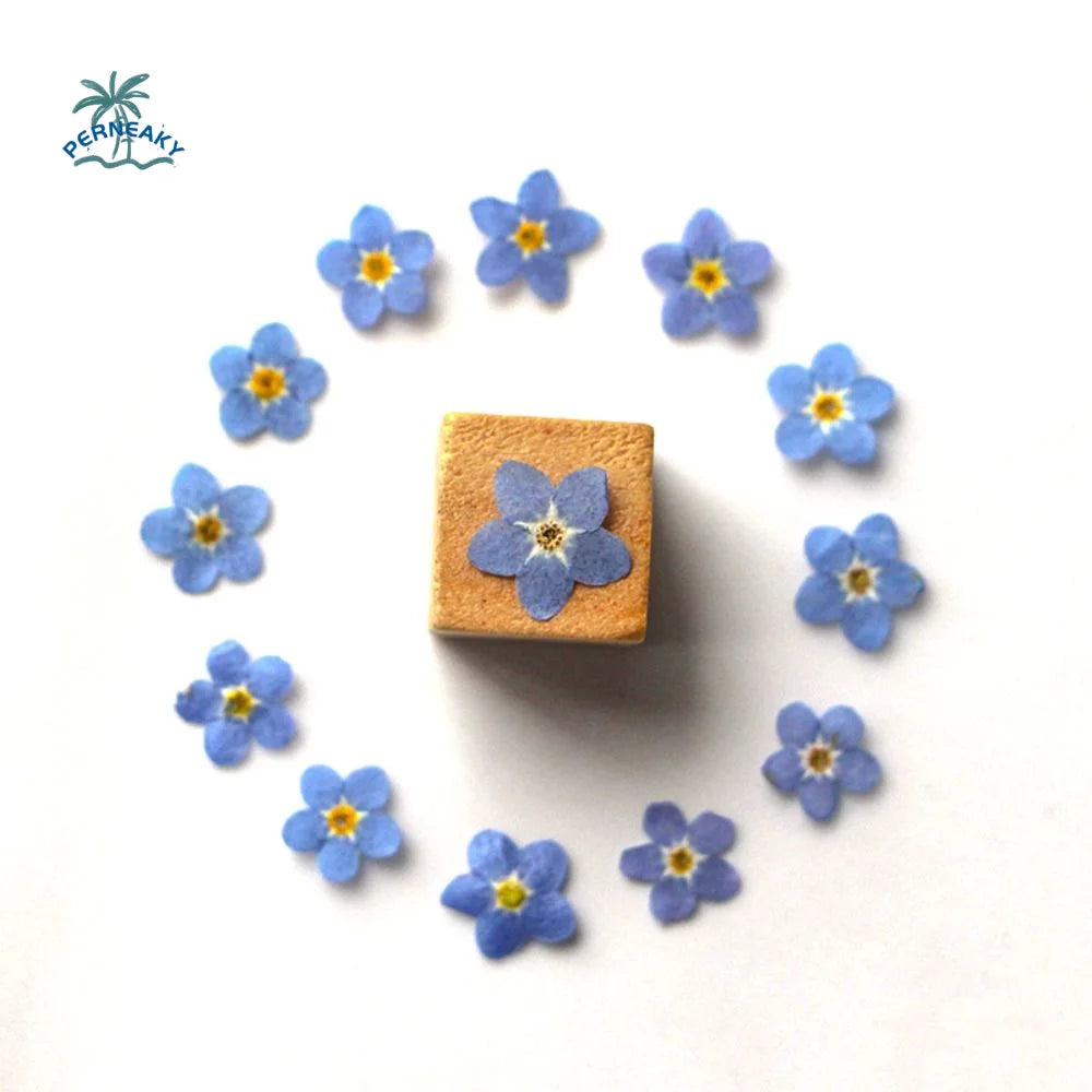 fleurs séchées bleu clair blanc bouquet naturel minimaliste décoration intérieure anniversaire baby shower