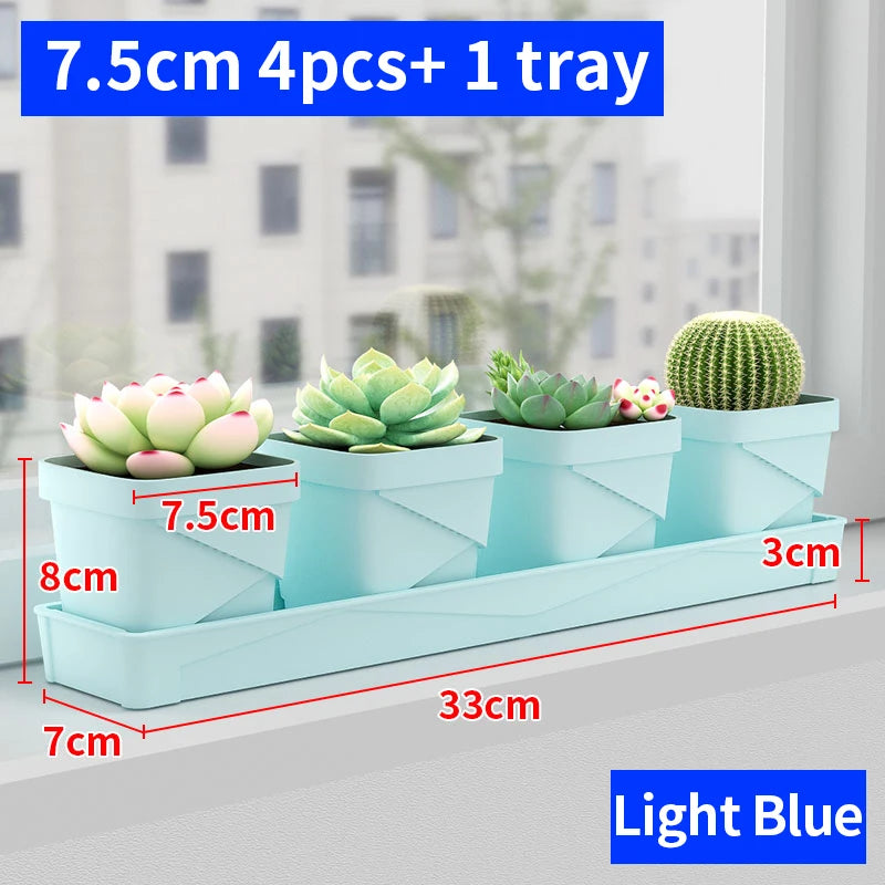 petit pot fleurs blanc plastique moderne cactus succulentes plateau intégré
