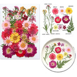 fleurs séchées multicolores variées naturelles scrapbooking décoration maison artisanat DIY