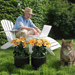 pots fleurs tissu non tissé noir vert modernes poignées 10 gallons