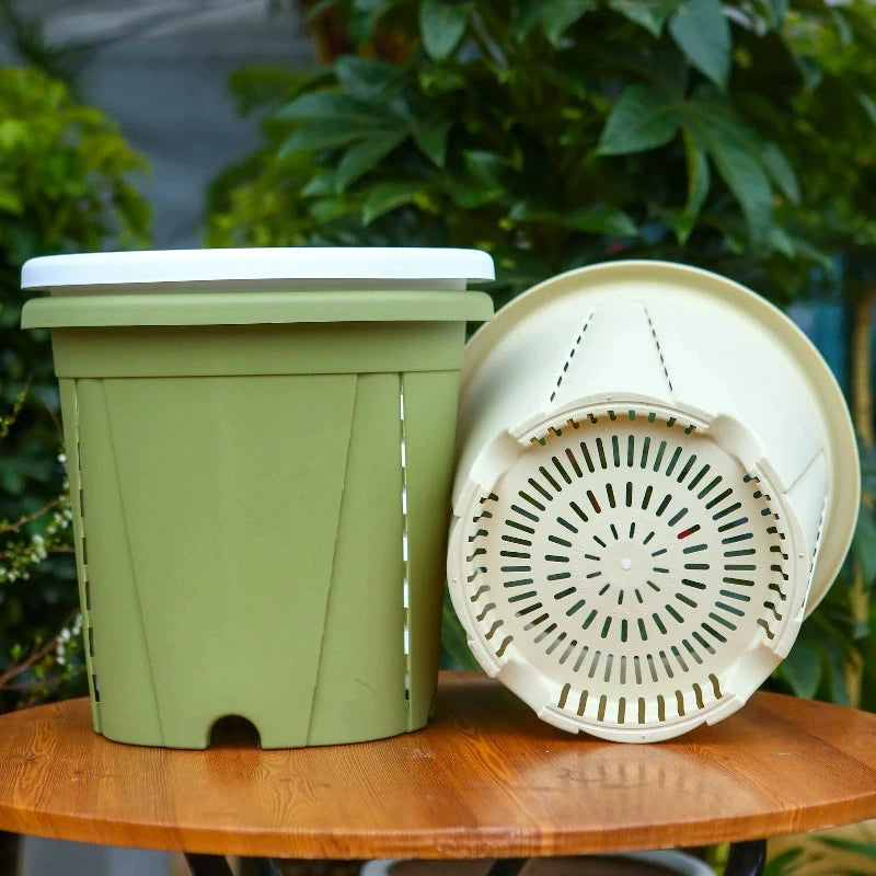 pots racines plastique moderne vertclair beige bleufoncé rayures grille drainage support hydroponie plantes