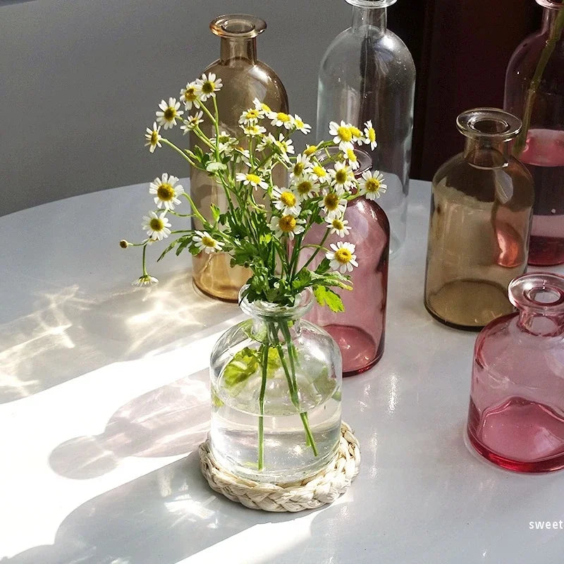 vase verre transparent moderne rose décoration intérieur hydroponique fleuri table studio