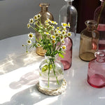 vase verre transparent moderne rose décoration intérieur hydroponique fleuri table studio