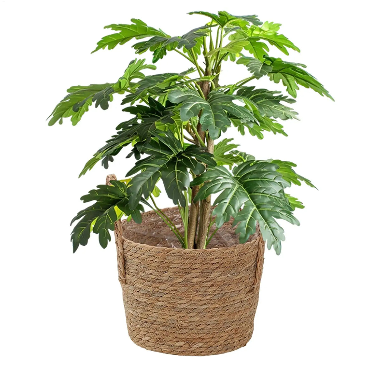 panier osier marron clair tissé rustique poignées cordelette balcon jardin intérieur vases plantes geometrie