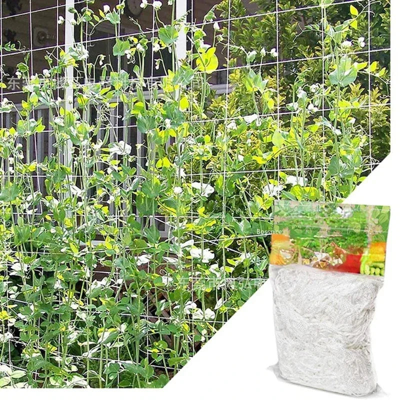 support plantes grimpantes filet jardin quadrillage blanc fleurs tomates concombres sacs transparents matériaux argentés