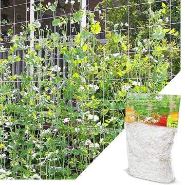 support plantes grimpantes filet jardin quadrillage blanc fleurs tomates concombres sacs transparents matériaux argentés