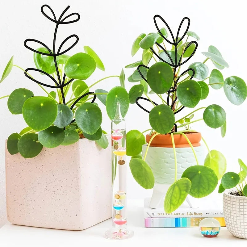supports plantes grimpantes treillis decoratifs hexagonaux feuilles minimaliste noir exterieur interieur fixations tringles