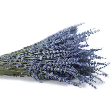 bouquet lavande séchée violette bleue verte décoration maison anniversaire mariage rustic naturel