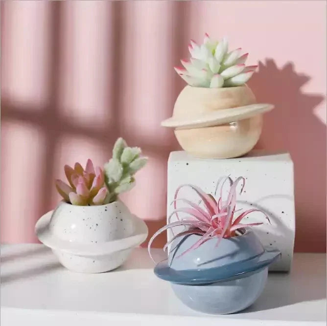 cache pot céramique bleu clair points noirs moderne plante succulente glacé