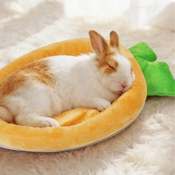tapis doux orange imitation velours carotte forme animaux compagnie cage lapin blancintérieur maison mignon