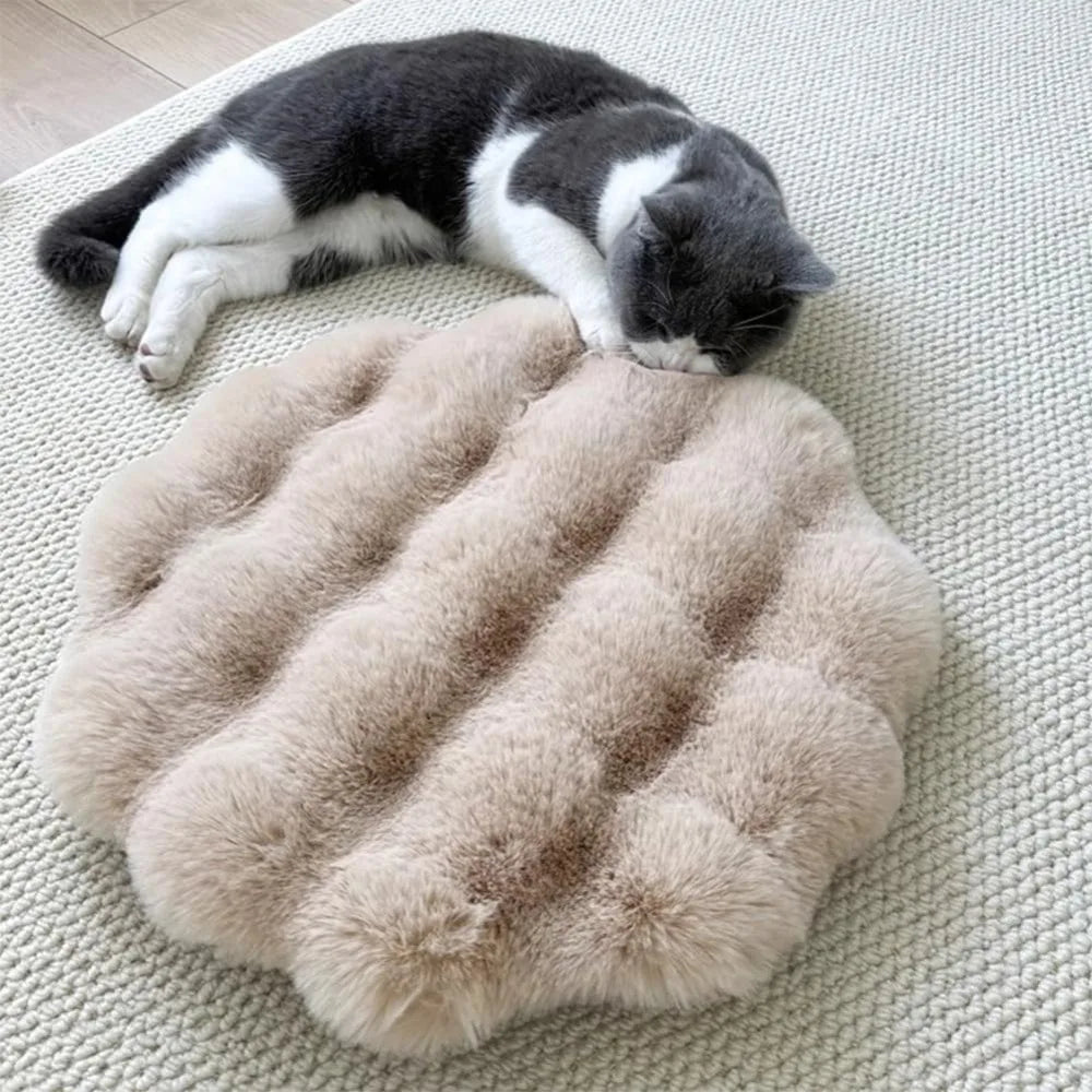 coussin chat gris clair doux peluche lavable moderne 30cm beige rose pale