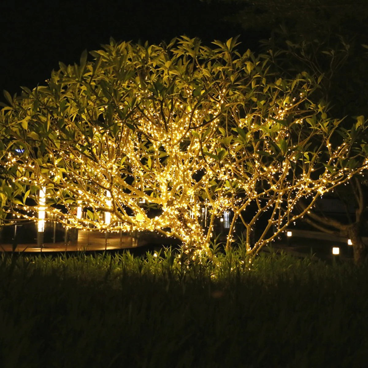 décoration noël guirlande led 100m blanc chaud points lumineux moderne imperméable ip66 prise électrique
