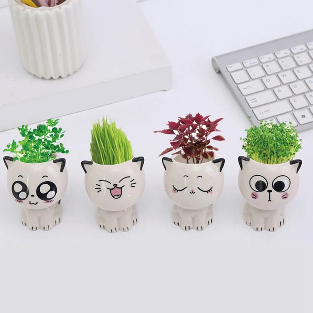 vase céramique glacé cartoon chat sourire plante décoration diy blanc erotique