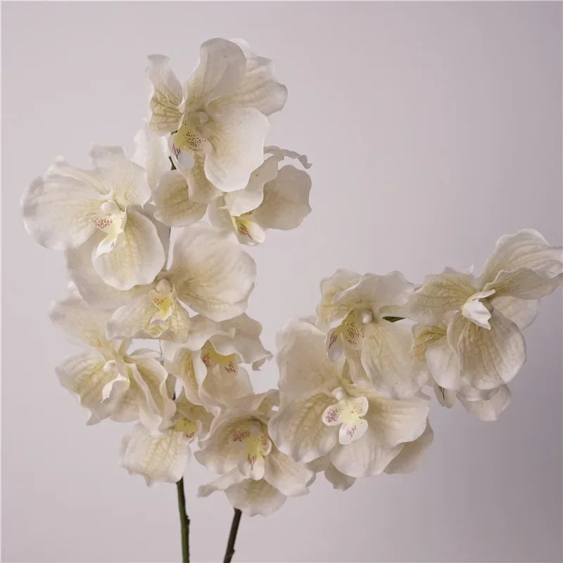 Décoration intérieure orchidée artificielle latex violette rose blanche naturelle têtes