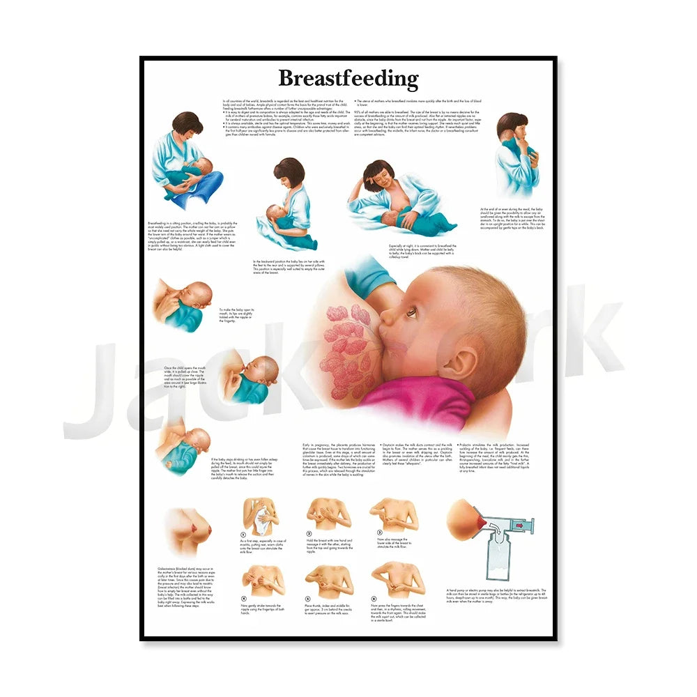 Cette image est une affiche informative sur l'allaitement maternel, montrant des illustrations et des étapes détaillées du processus d'allaitement.