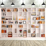 bibliothèque murale moderne rayées couleurs vives livres décorative grande taille