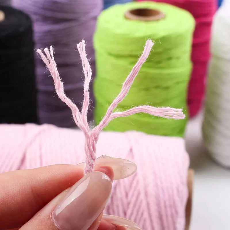 corde coton tressée 50mètres vert rose beige simple déco mariage fête nhà cửa