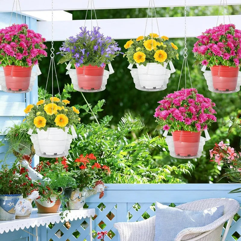 supports plante suspendus transparents modernes clips gravés jardin maison salon chambre