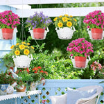 supports plante suspendus transparents modernes clips gravés jardin maison salon chambre