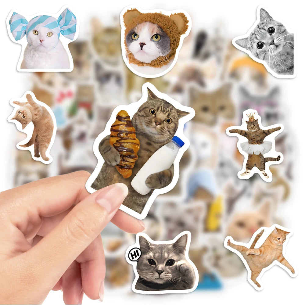 stickers chats multicolores illustrés adhésifs modernes waterproof enfants adultes transparents motifs chapeaux accessoires