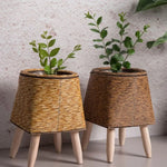 cache pot tressé rotin moderne cactus feuilles vertes marron clair pieds bois durable tissé