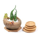 cache pots forme animaux couleur bleu vert beige créatif animalier plante succulente