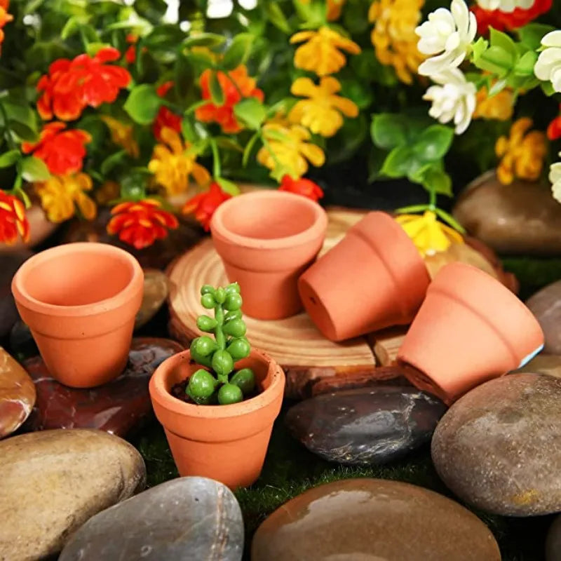 pots terre cuite miniatures drainage plantes grasses cactus pierres mousse bois flotté fleurs artificielles