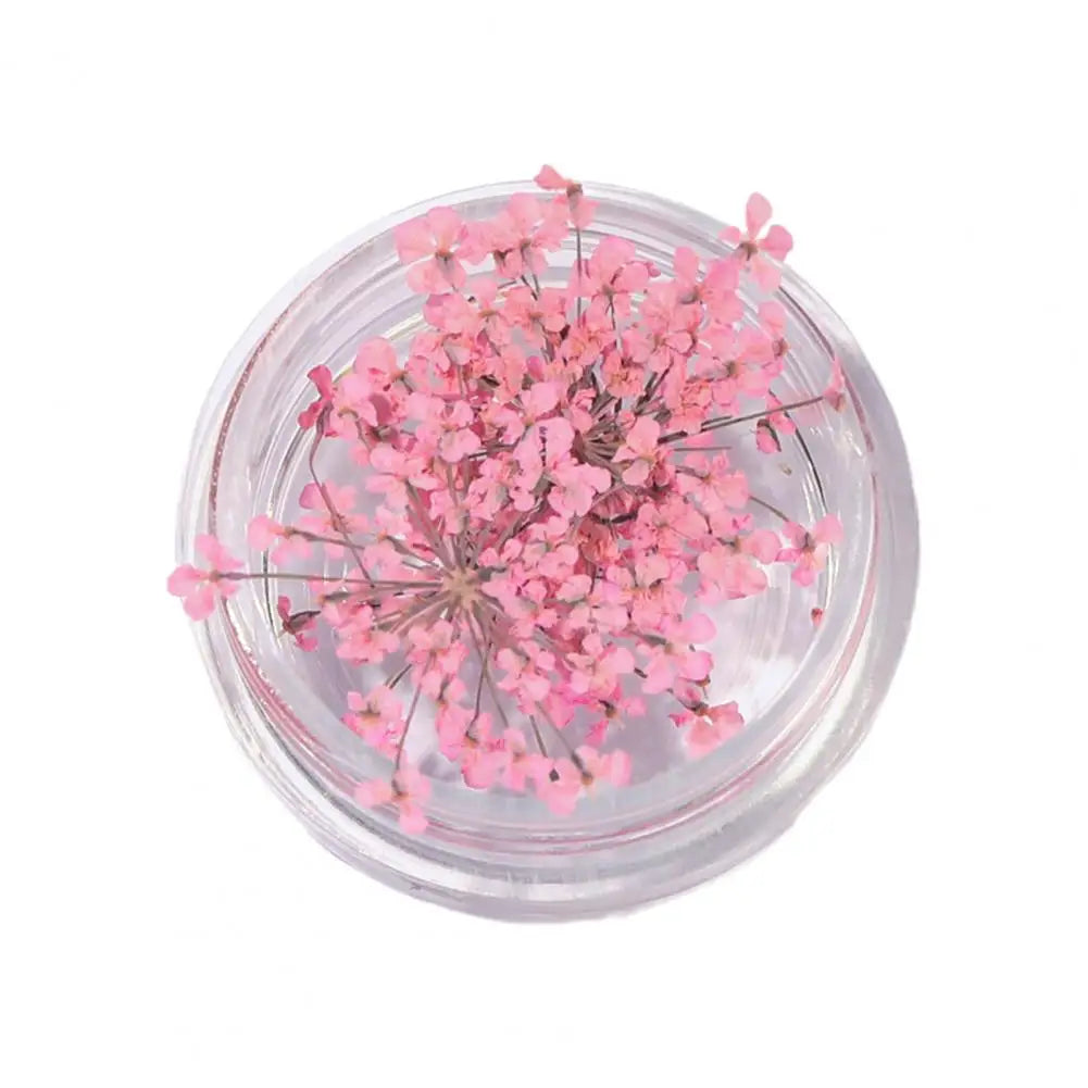 décorations nail art fleurs séchées violet rose vert rouge orange blanc naturel strass ongles