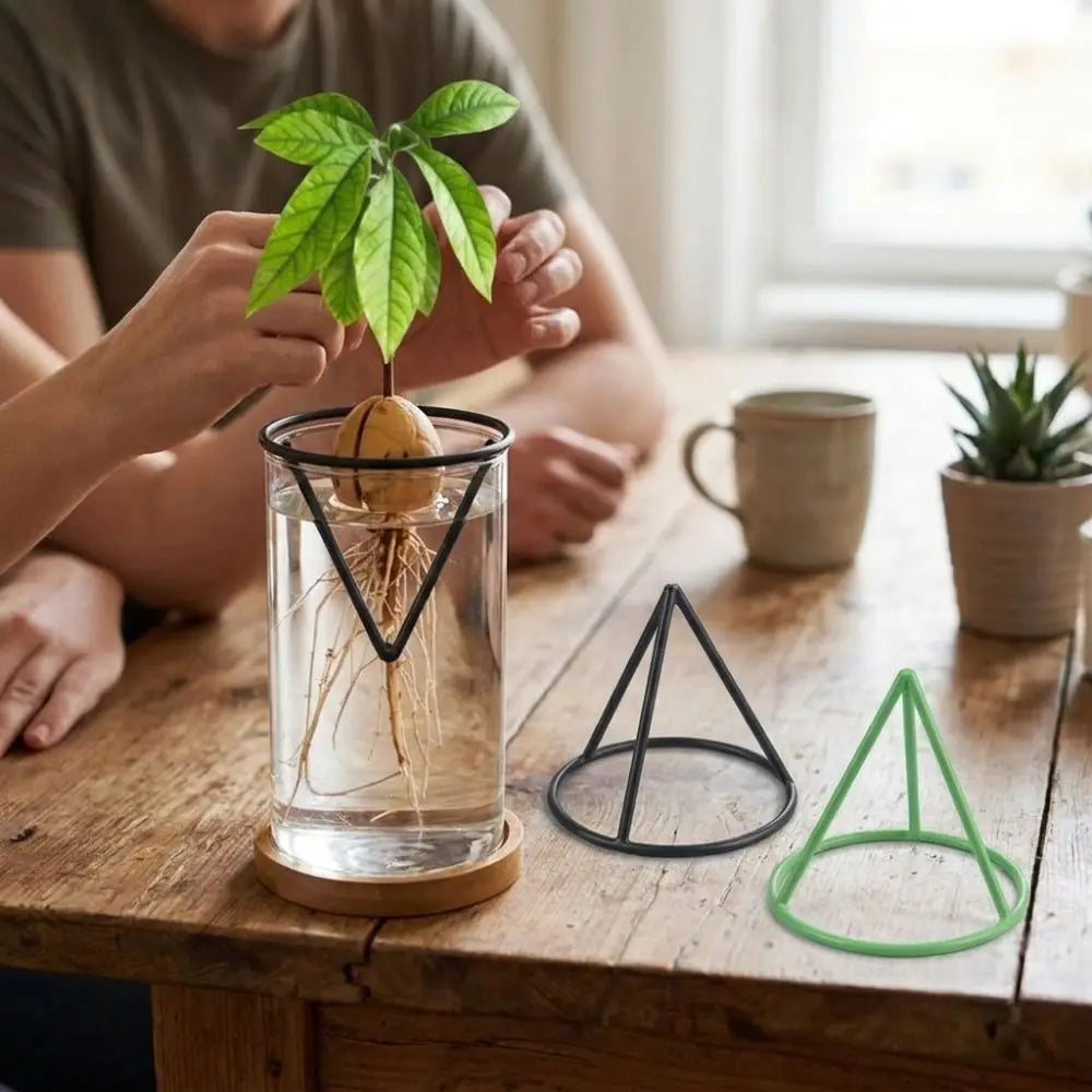 supports plantes verre transparent noirs verts triangles modernes base bois fixations adhésives minimalistes jardinage