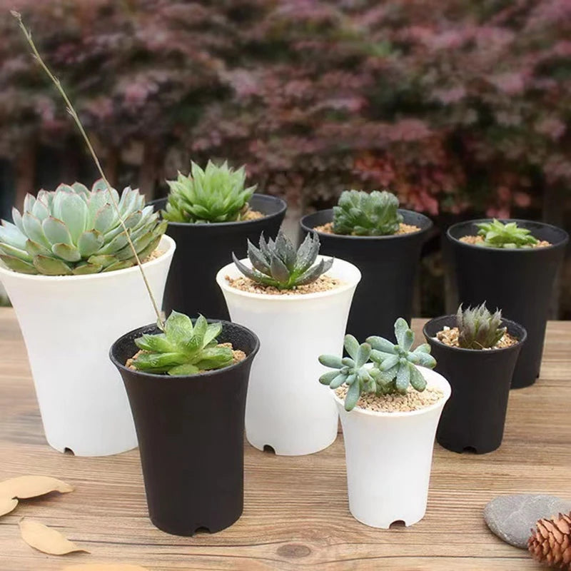 pots plante noirs blancs modernes succulentes décoration maison 10pc 5pc