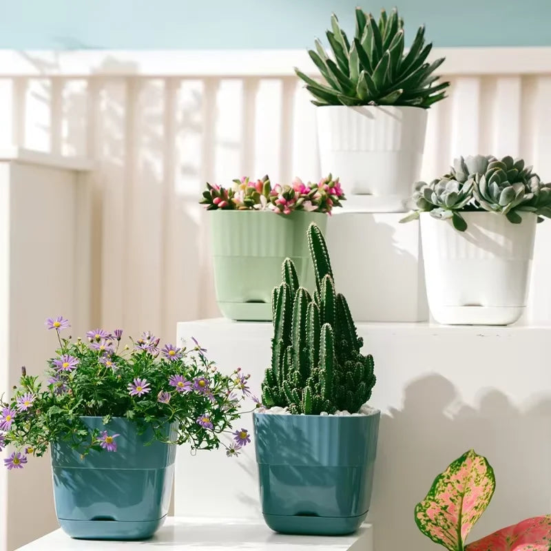 pots plante plastique moderne rayures blanc vert bleu drainage jardin intérieurextérieur