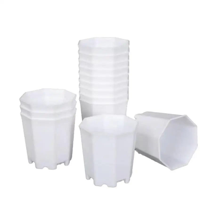 pots plante blancs hexagonaux modernes succulentes décoration table 6pcs 12pcs 24pcs