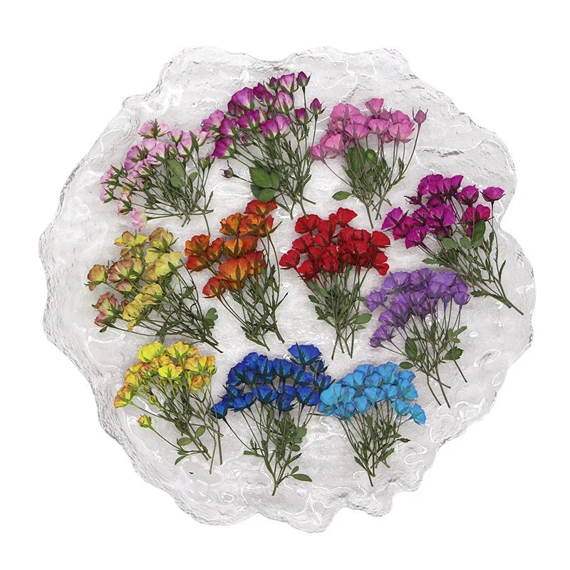 fleurs séchées rouge rose violet bleu jaune feuilles vertes décoration maison scrapbooking diy