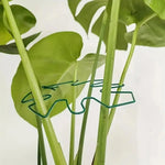 Support plante suspendu or moderne clips feuille monstera vert noir
