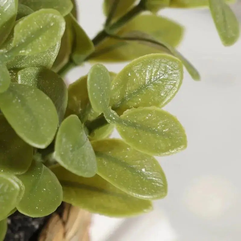 décoration intérieure plante artificielle pot osier feuilles vertes modernes salon