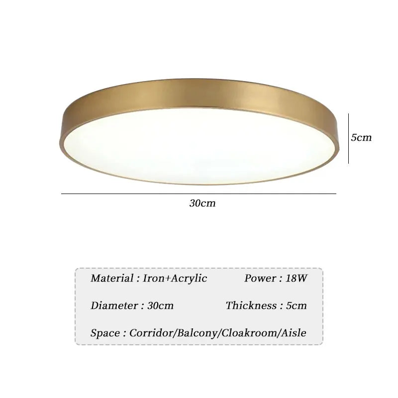 plafonniers led modernes or blanc minimaliste 10~15 ampoules 220v télécommande