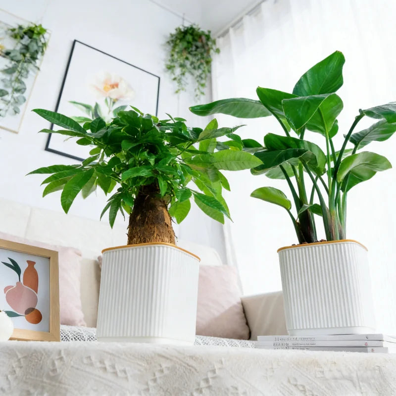 pots carrés auto arrosage plante verte intérieur balcon nordique rayures verticales plastique épaisseau