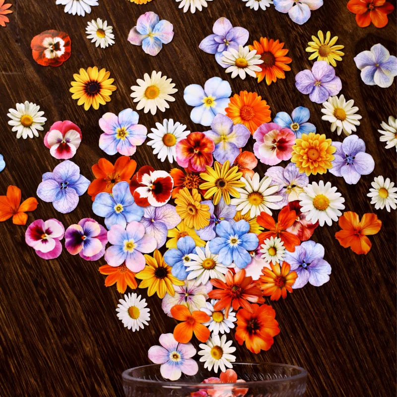 autocollants fleurs multicolores artificielles réalistes opaques paquets 25 pièces chaque journal collage decoration