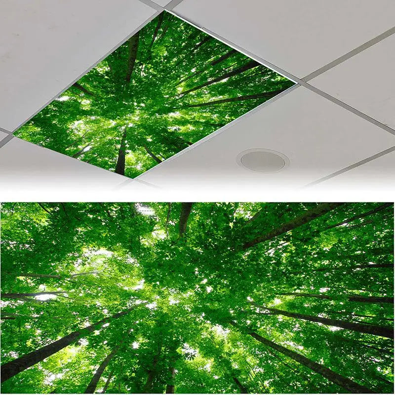 cache lumiere fluorescent moderne forêt ciel feuilles automne adhésif vert bleu blanc