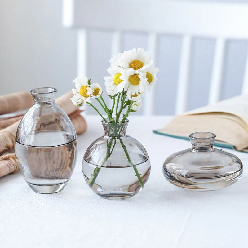 vases transparent modernes verre simple minimalistes bleu vert fleurs plantes