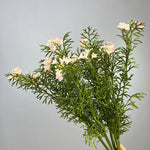 bouquet fleurs artificielles decoration maison mariage anniversaire vert jaune blanc bleu rose