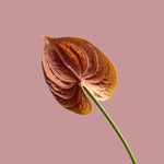 fleurs artificielles rouge rose blanc vert feuilles brillantes décoration moderne élégante intérieur maison
