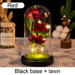 roses stabilisées bouquet guirlande lumineuse cloche verre décoration intérieure romantique anniversaire valentin engagement