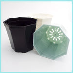 pots fleurs modernes hexagonaux plastique blanc noir gris bleu