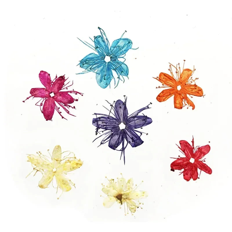 fleurs artificielles bleu rose orange violet jaune rouge décoration maison intérieur minimaliste bricolage photo