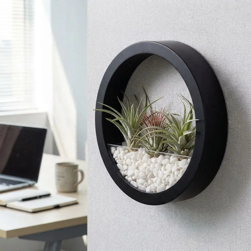 pot hydroponique mural moderne blanc noir rose bleu clair fixé mur transparent uni