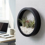 pot hydroponique mural moderne blanc noir rose bleu clair fixé mur transparent uni